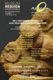 Sabrina Gruss Musée d'Histoire naturelle Avignon 2006