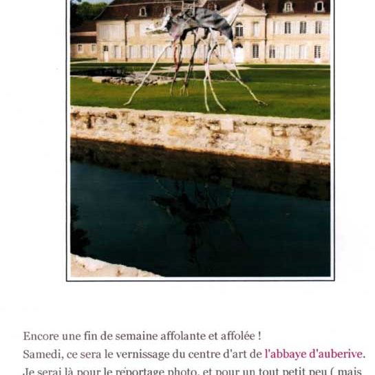 Sabrina Gruss Centre d'Art Contemporain de l'Abbaye d'Auberive 2008