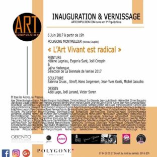 Sabrina Gruss Expo 2017 Galerie Art Compulsion Montpellier