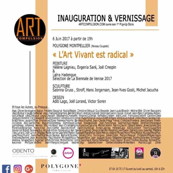 Sabrina Gruss Expo 2017 Galerie Art Compulsion Montpellier