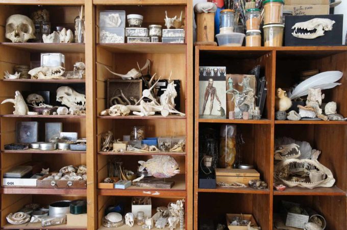 Sabrina Gruss - L'Atelier de la sculptrice à Saint Remy de Provence
