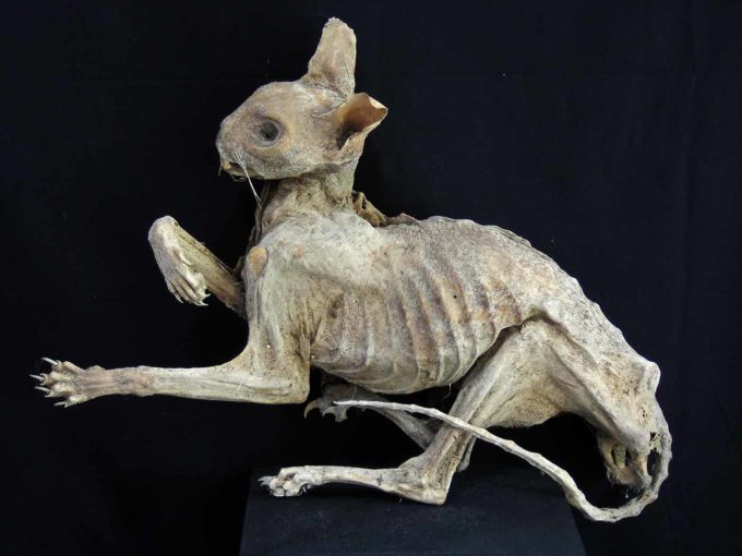 Sabrina Gruss - L'Atelier de la sculptrice à Saint Remy de Provence
