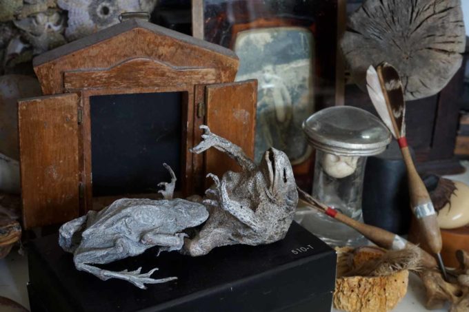 Sabrina Gruss - L'Atelier de la sculptrice à Saint Remy de Provence