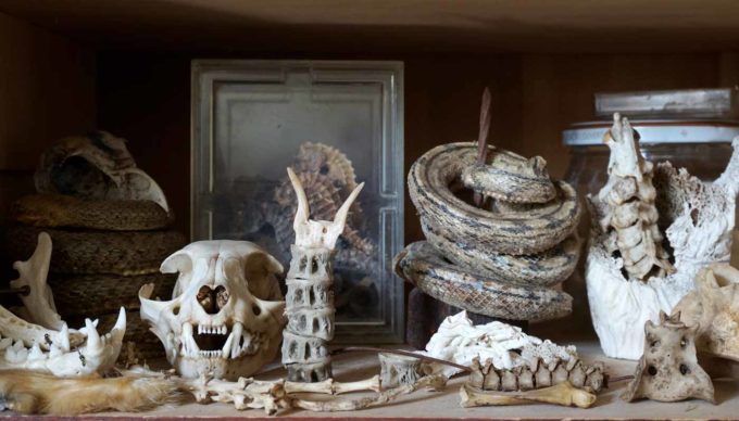 Sabrina Gruss - L'Atelier de la sculptrice à Saint Remy de Provence