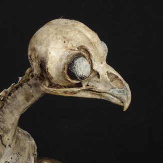 Sabrina Gruss - Cadavres Exquis - Voyage de nuit