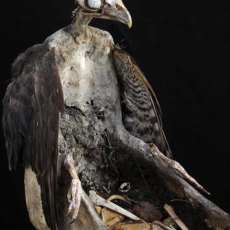 Sabrina Gruss - Cadavres Exquis - Voyage de nuit