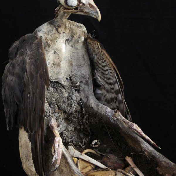 Sabrina Gruss - Cadavres Exquis - Voyage de nuit