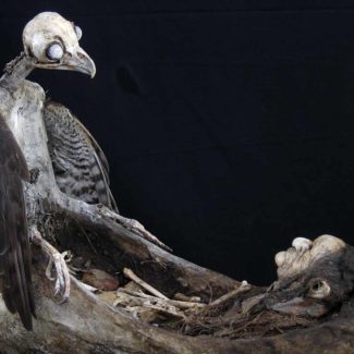 Sabrina Gruss - Cadavres Exquis - Voyage de nuit