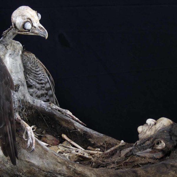 Sabrina Gruss - Cadavres Exquis - Voyage de nuit