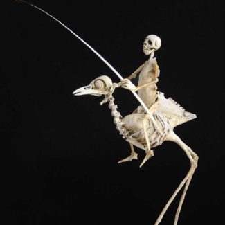 Sabrina Gruss - Défunts Animés : Cavaliers - Le Rendez-vous