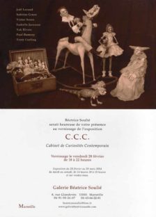 Sabrina Gruss Expo Galerie Béatrice Soulié 2014