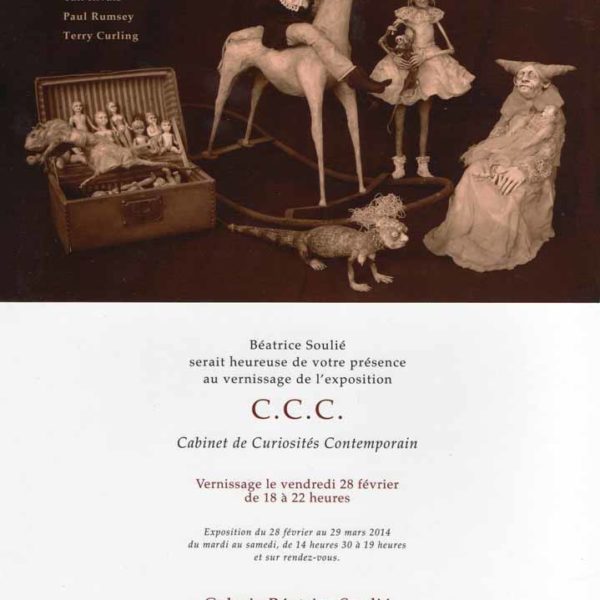 Sabrina Gruss Expo Galerie Béatrice Soulié 2014