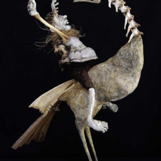 Sabrina Gruss - Défunts Animés : Cavaliers - Le Vocifère et la Gruge