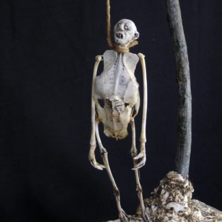 Sabrina Gruss - Défunts animés : Personnages - A table