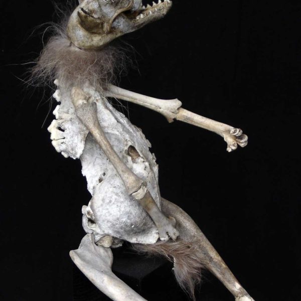 Sabrina Gruss - Défunts animés : Personnages - Chienne de vie