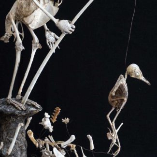 Sabrina Gruss - Défunts animés : Personnages - L'oiseau aveugle