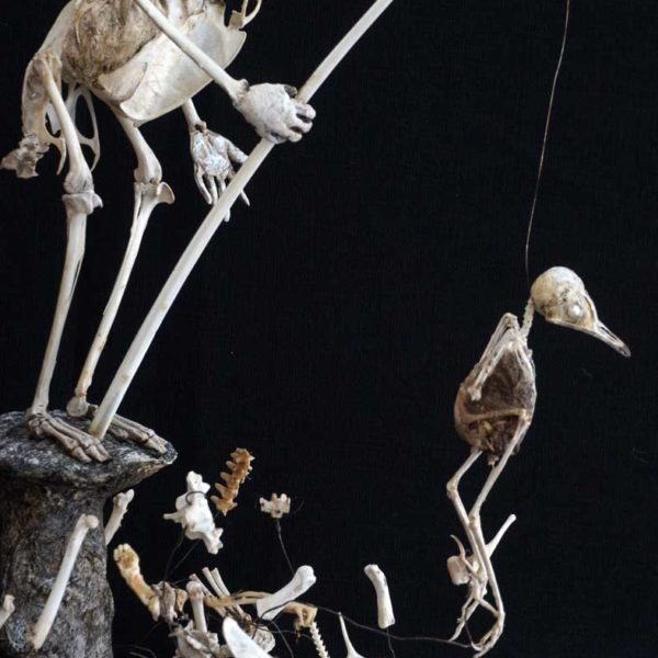 Sabrina Gruss - Défunts animés : Personnages - L'oiseau aveugle