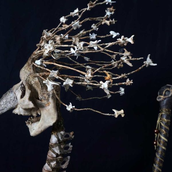 Sabrina Gruss - Défunts animés : Personnages - Le manège enchanté