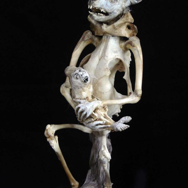 Sabrina Gruss - Défunts animés : Personnages - Pleine lune