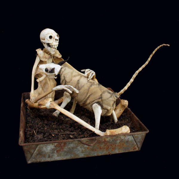 Sabrina Gruss - Défunts animés : Personnages - Rencontre