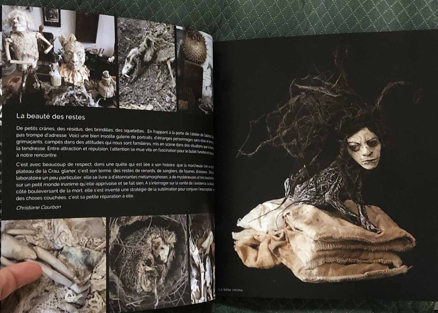 Sabrina Gruss - Livre "Parade avant la poussière"