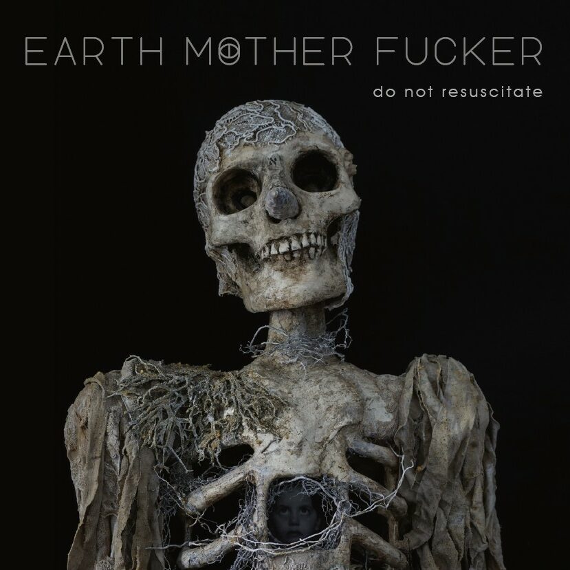 Final Vinyl Cover
